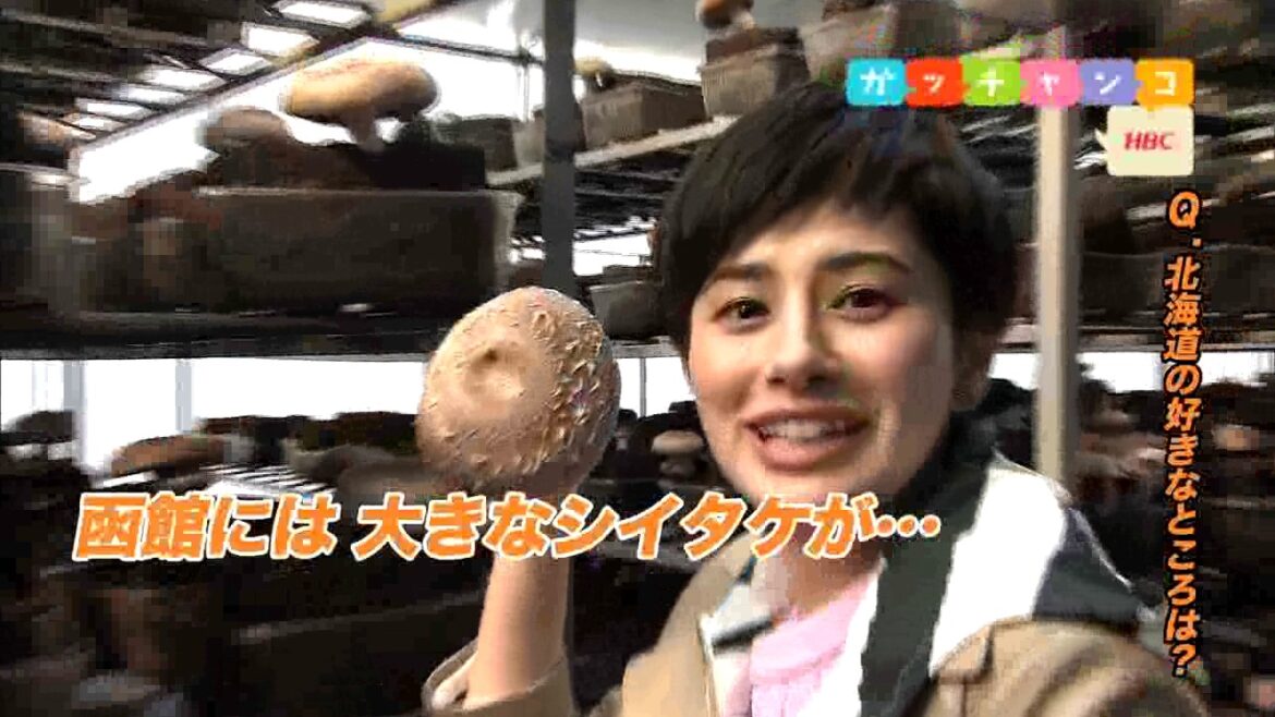 ホラン千秋　今日ドキッ！＆ＮスタキャンペーンＣＭ　函館の大きな椎茸編