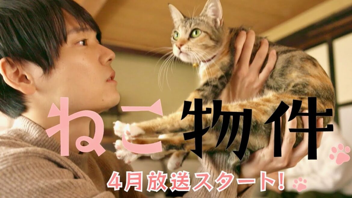 古川雄輝、細田佳央太ら猫と暮らすシェアハウスの人生模様描く！ネコ×イケメン×シェアハウスドラマ『ねこ物件』予告1＋2