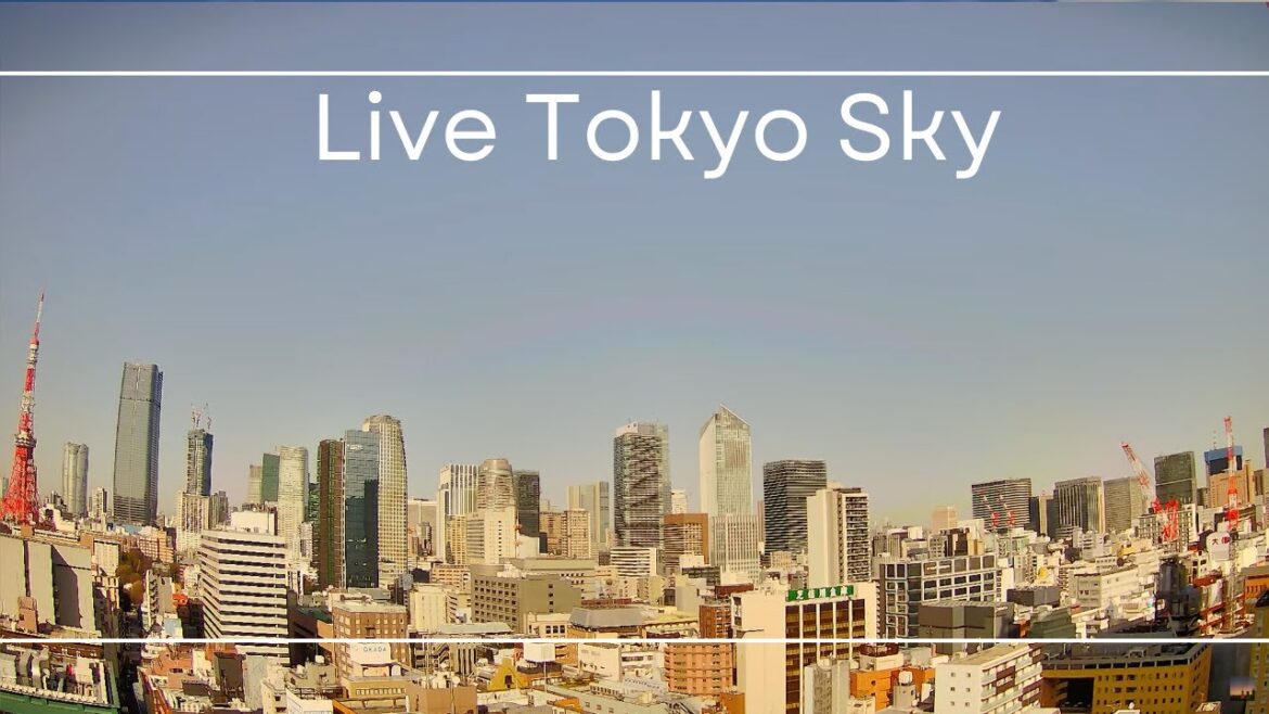 東京タワーと麻布台・虎ノ門ヒルズ/Live Sky above Tokyo Tower, Azabudai and Toranomon Hills 2023.2.22-23