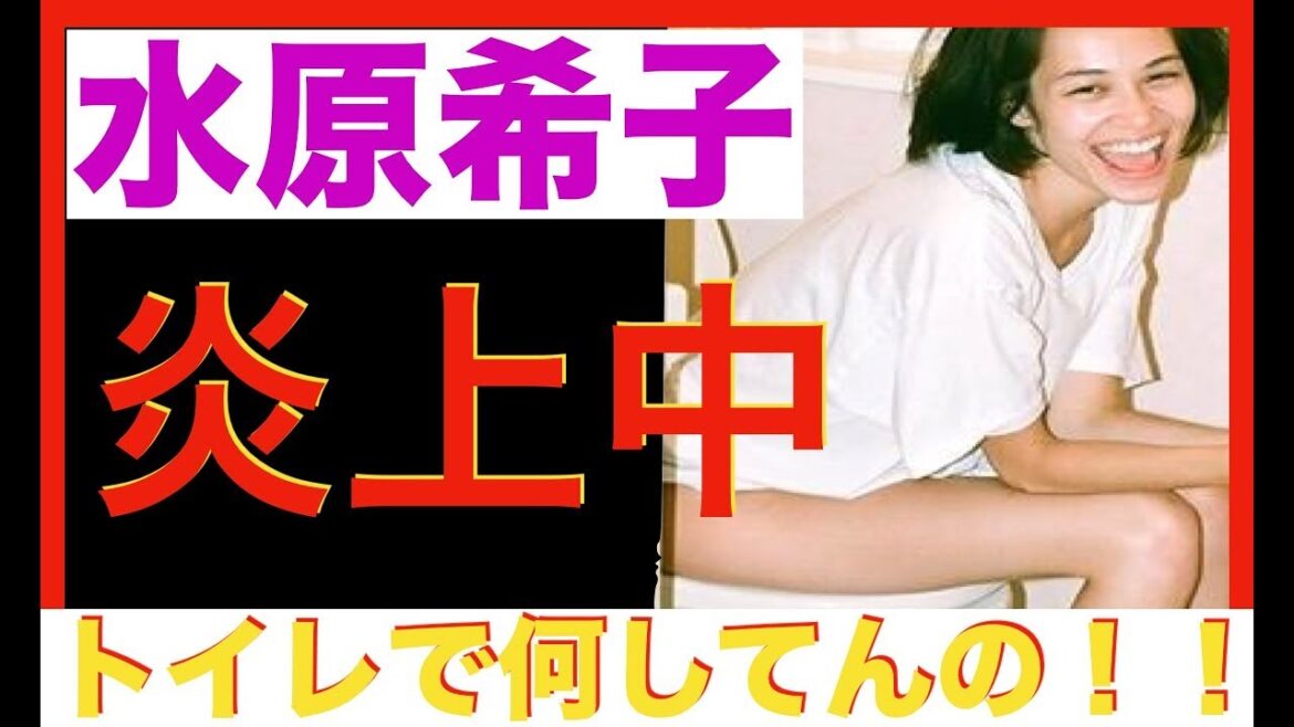 水原希子がトイレ中の写真をアップしてインスタグラムで炎上 水原希子がトイレ中の写真をアップしてインスタグラムで炎上