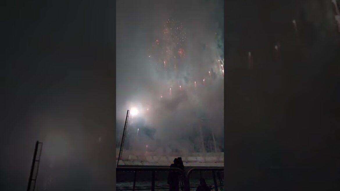 神宮外苑花火大会2022 ラスト 神宮球場内での打ち上げ花火 最前列から撮影