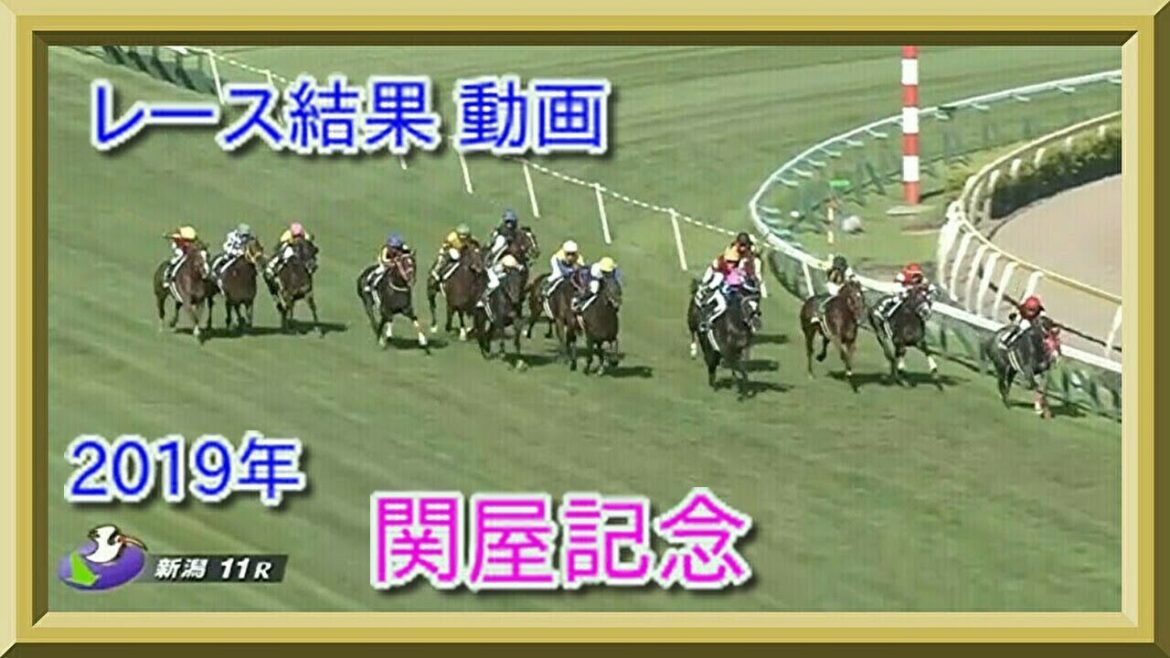 競馬　関屋記念　レース結果　動画　2019年