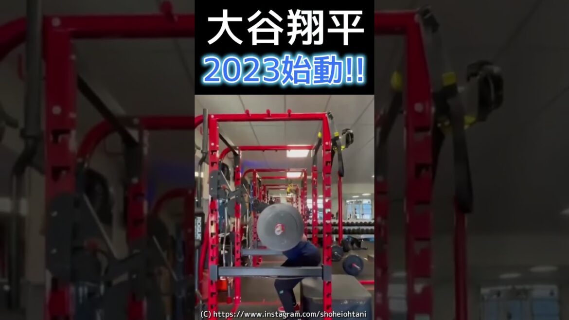 ⚾下半身ヤバいｗ【大谷トレーニング開始】#大谷翔平2023 #shotrs #shoheiohtani