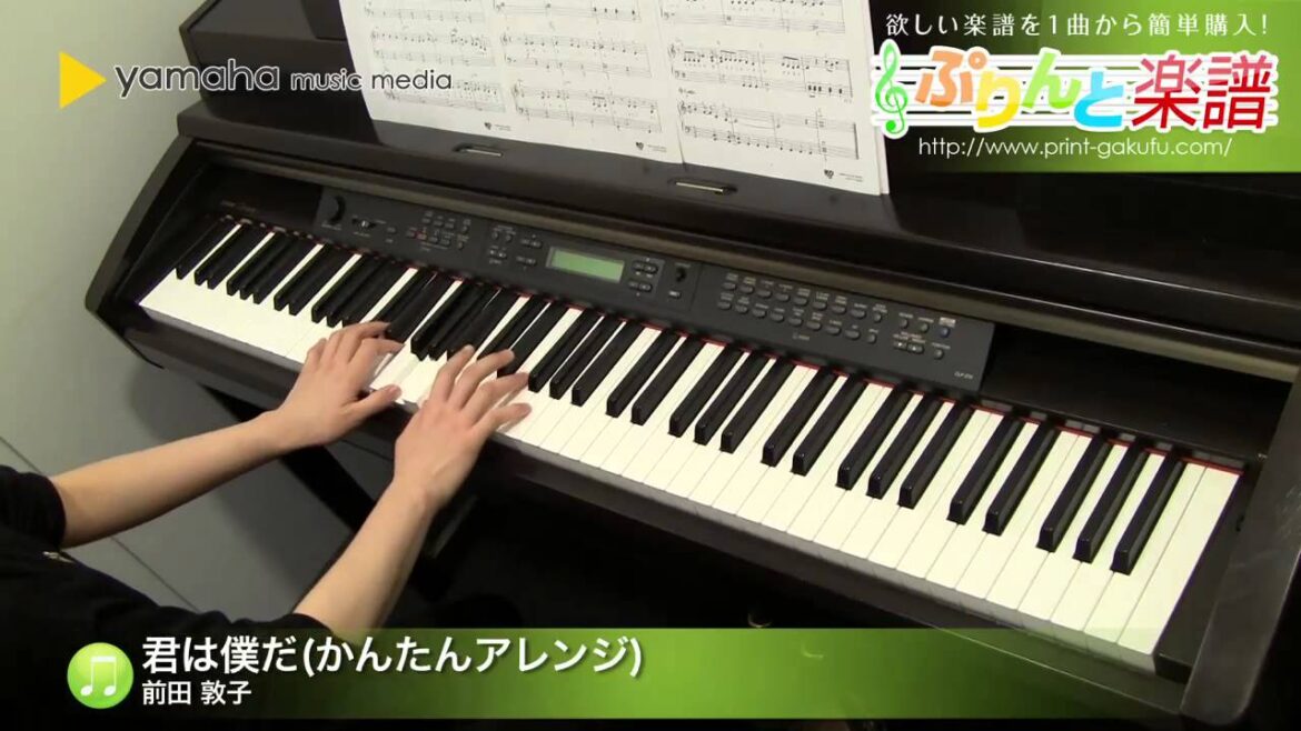 君は僕だ(かんたんアレンジ) / 前田 敦子 : ピアノ（ソロ） / 初級