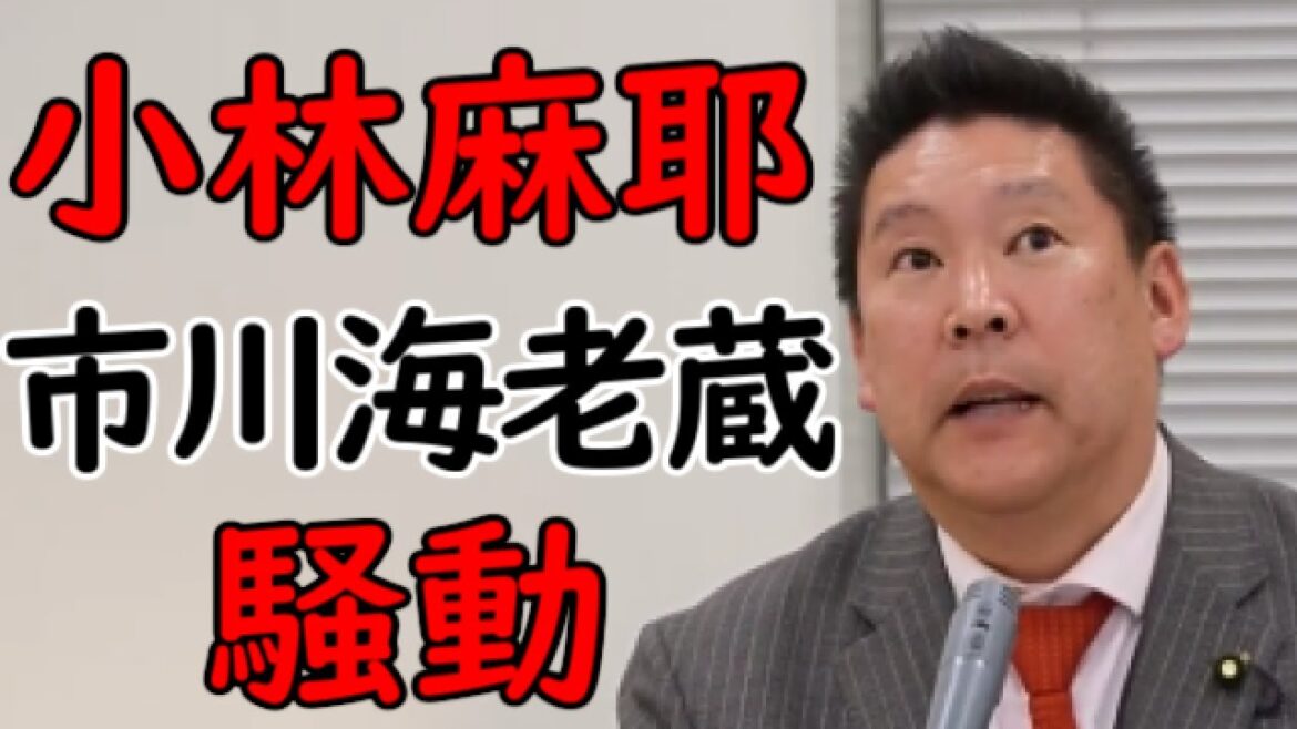 【立花孝志】小林麻耶さんと市川海老蔵さん問題【NHK党】