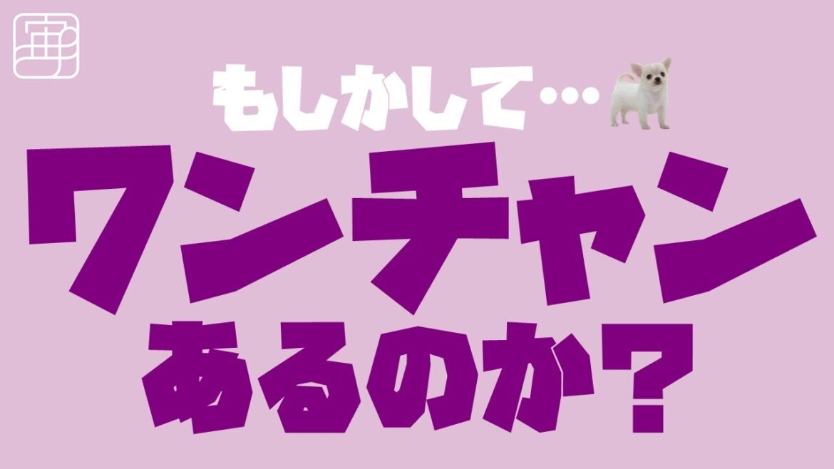【宝塚宙組】ざわつく発表！もしかして？！カジノ・ロワイヤル配役の謎！