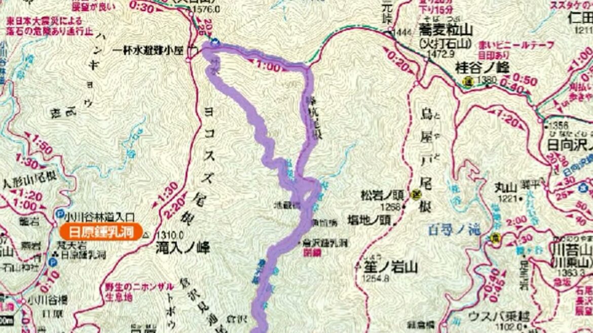 2018年7月16日 倉沢谷塩地谷