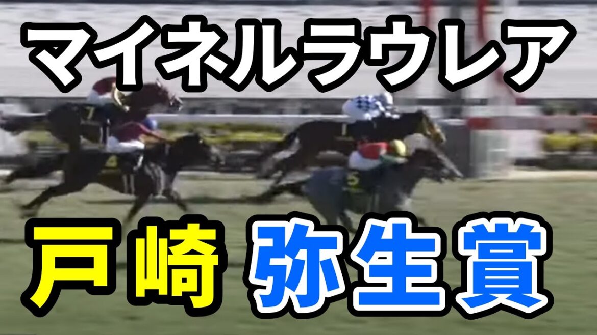 【弥生賞】ミッキーカプチーノに乗るはずだった戸崎がなぜかマイネルラウレアの鞍上に 【弥生賞】ミッキーカプチーノに乗るはずだった戸崎がなぜかマイネルラウレアの鞍上に