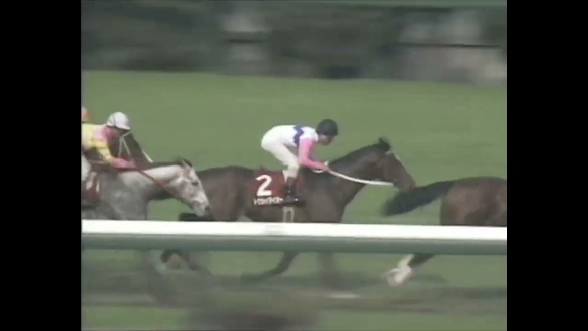 トウカイテイオー 1992年 第36回産経大阪杯(GII) (優勝馬：トウカイテイオー)