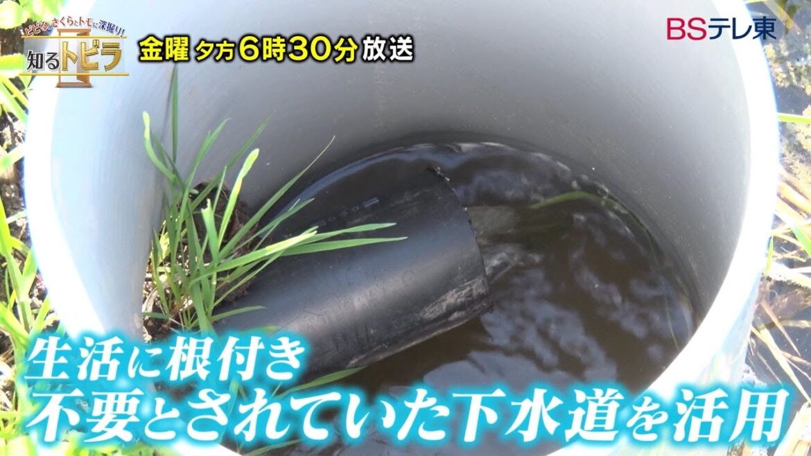 【予告】ビビるとさくらとトモに深掘り！知るトビラ【下水道資源を活用！　BISTRO（ビストロ）下水道】 | ＢＳテレ東