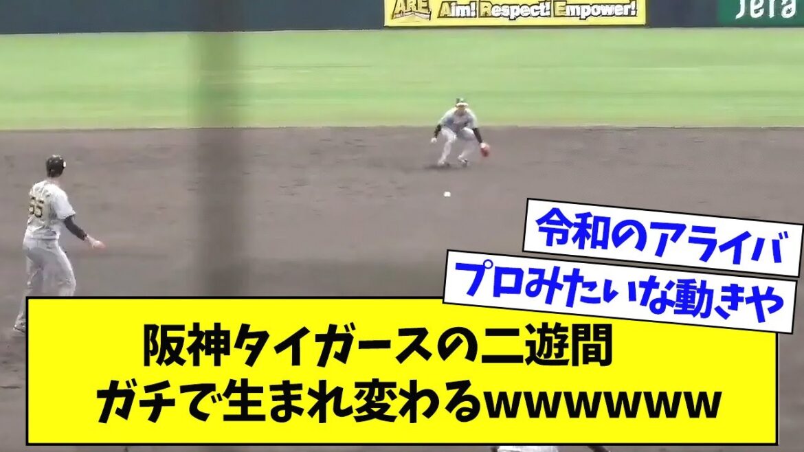 【朗報】阪神の二遊間、ガチで生まれ変わるｗｗｗｗｗｗｗｗ