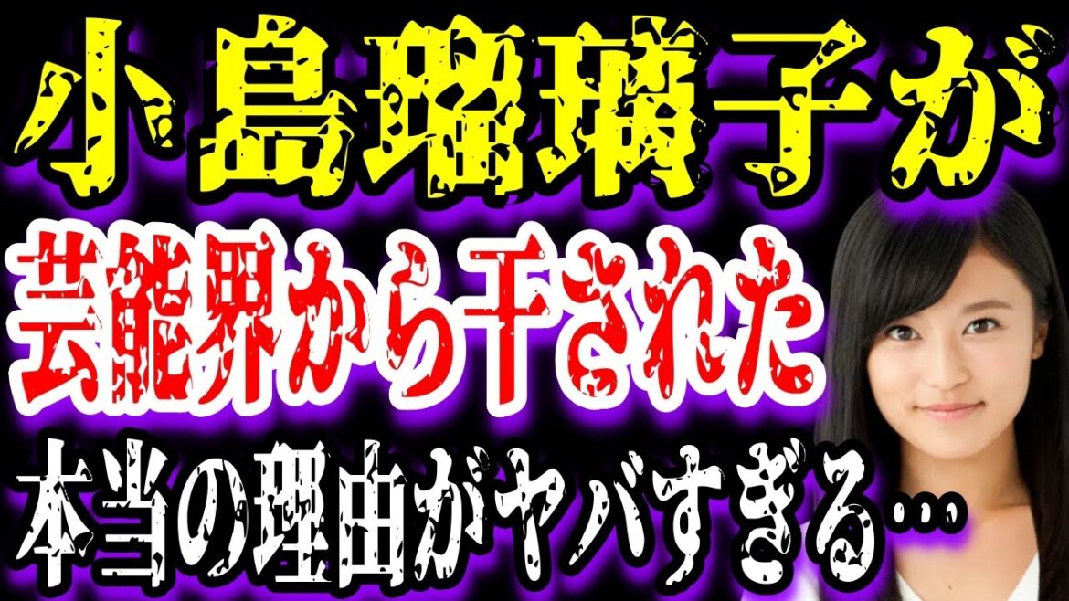 【ゆっくり解説】小島瑠璃子が芸能界から干された3つの理由がヤバい…！明石家さんまを激怒させた事件が衝撃的すぎた…！