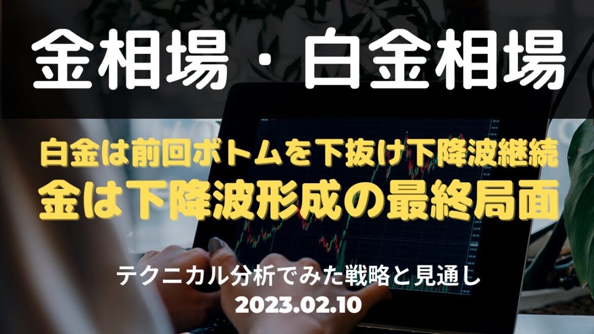 【金相場・白金相場】今後どうなる！？　白金は前回ボトムを下抜け下降波継続　金は下降波形成の最終局面　テクニカル分析でみた見通しと戦略　2月10日（金）