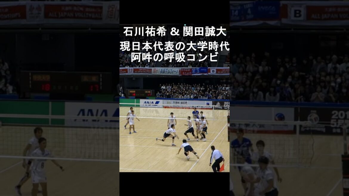 #石川祐希 & #関田誠大 現・全日本コンビの大学時代のプレー #shorts