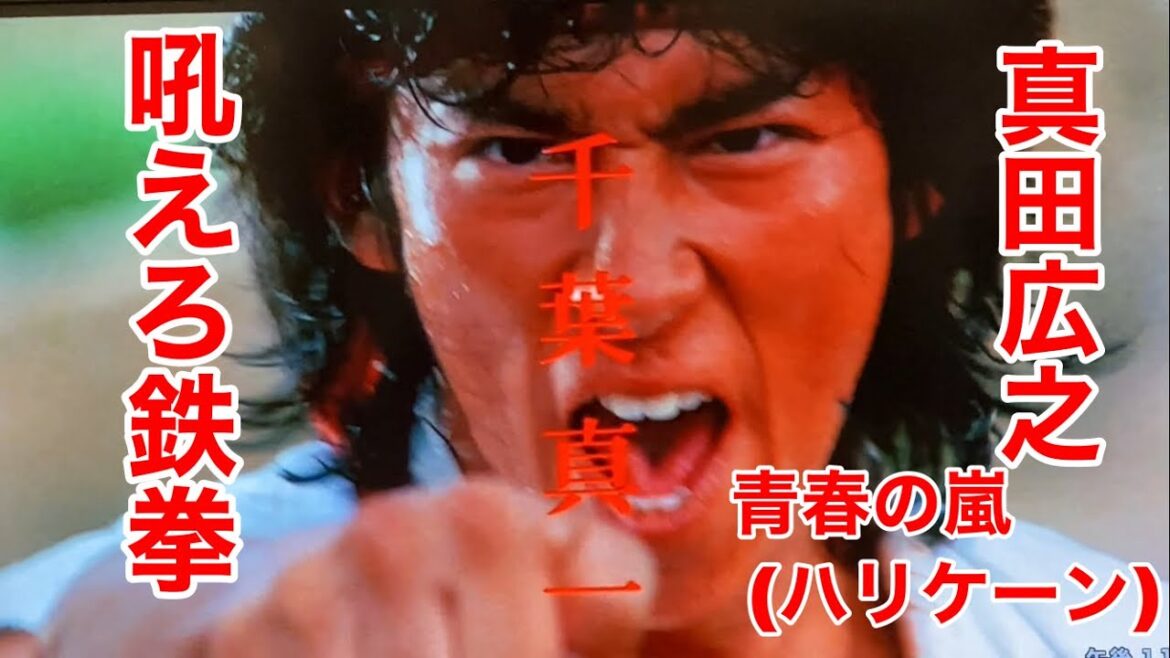真田広之 吼えろ鉄拳OP   #青春の嵐(ハリケーン) #千葉真一