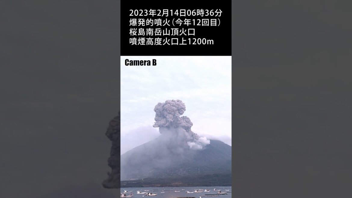 2023年2月14日 06:36 桜島 爆発的噴火 1200m / Sakurajima Explosive Eruption #shorts