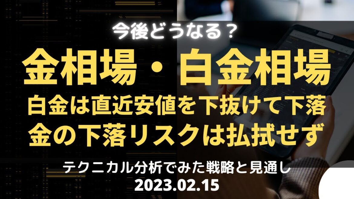 【金相場・白金相場】今後どうなる！？　白金は直近安値を下抜けて下落　金の下落リスクは払拭せず　テクニカル分析でみた見通しと戦略　2月15日（水）