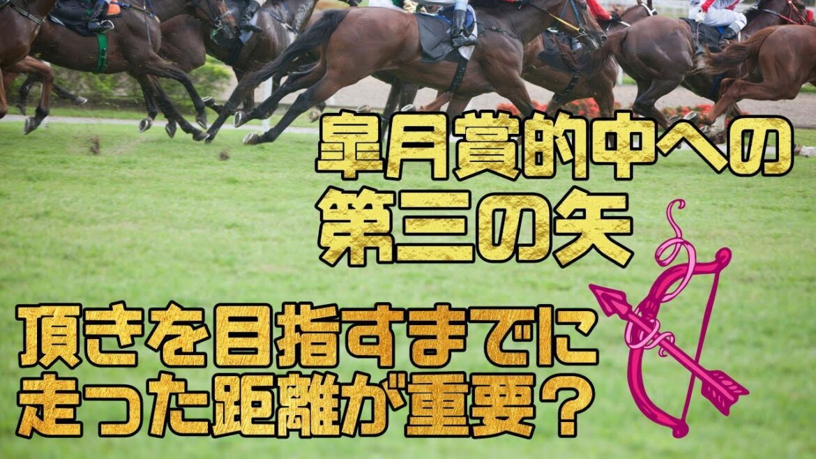 皐月賞2022攻略【第三の矢】過去のレース走行距離上位は成績ボロボロ！走った距離が少ない馬ほど好成績！？