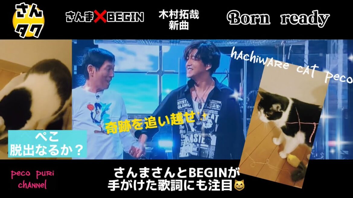 さんタクから生まれた木村拓哉さんの素敵な曲『Born ready』さんまさんBEGINさんが手がけた作詞も魅力的です✨ぺこちゃん勝手にコラボ😸w
