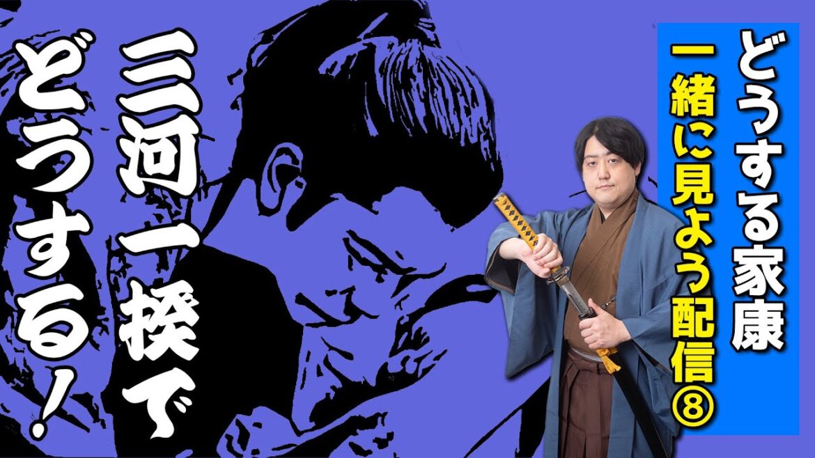 #どうする家康  一緒に見よう配信⑧三河一揆でどうする！