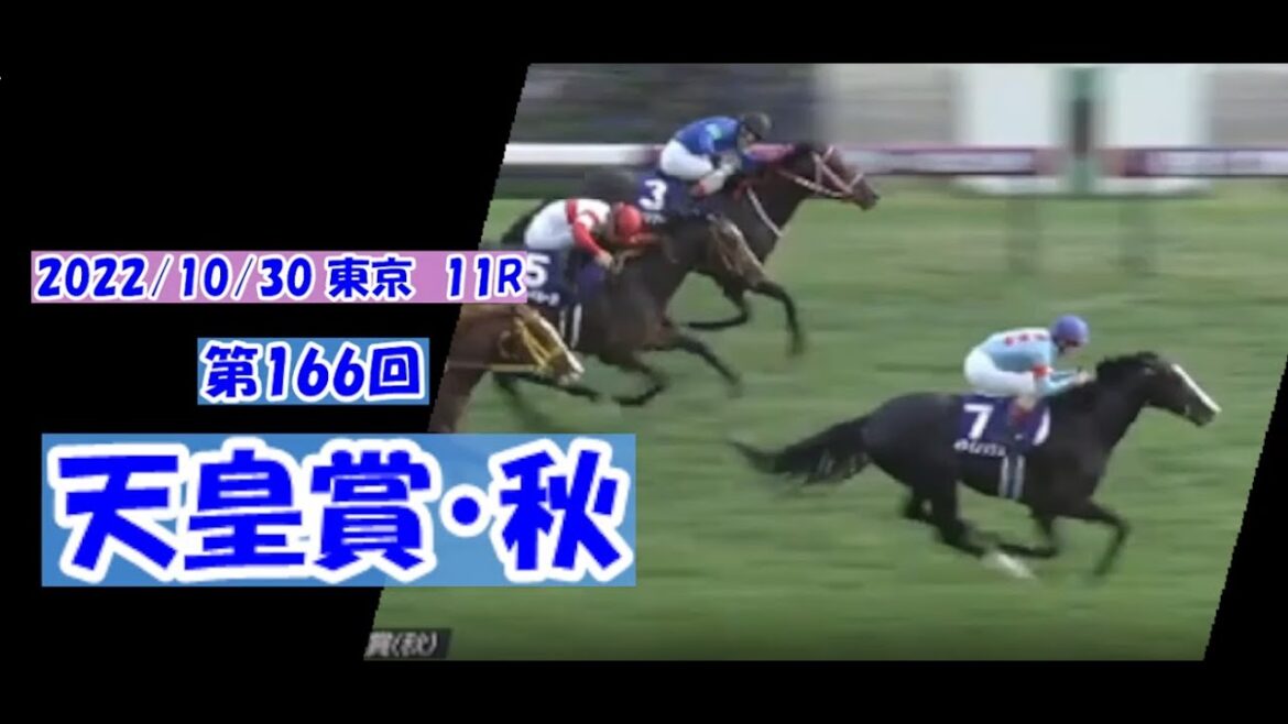 2022/10/30【パドック返し馬つき】東京11R　天皇賞・秋（GⅠ）　　☆イクイノックス　キタサンブラック　　＃レースは17分ころから
