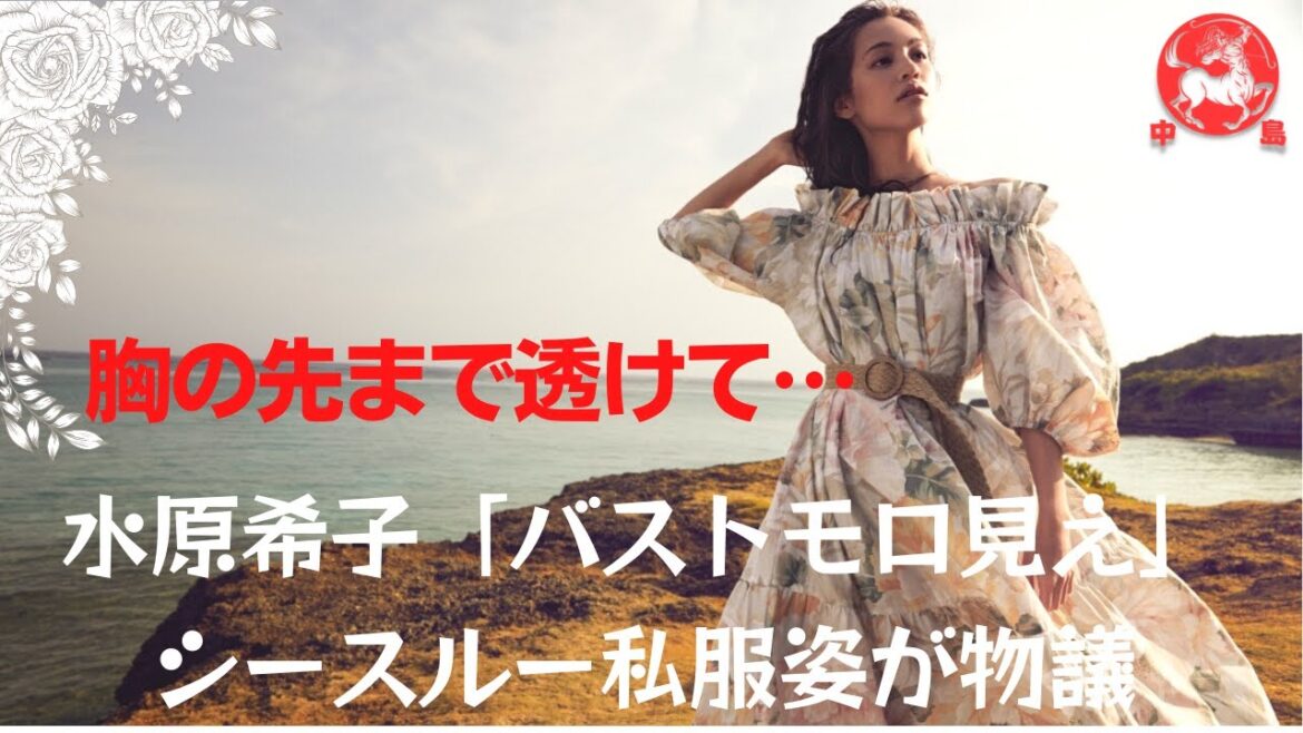 【水原希子】「バストモロ見え」シースルー私服姿が物議