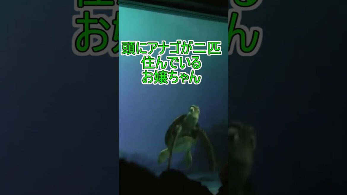 【クラッシュが反応】緊急地震速報が鳴る【タートルトーク】東京ディズニーシー#Shorts