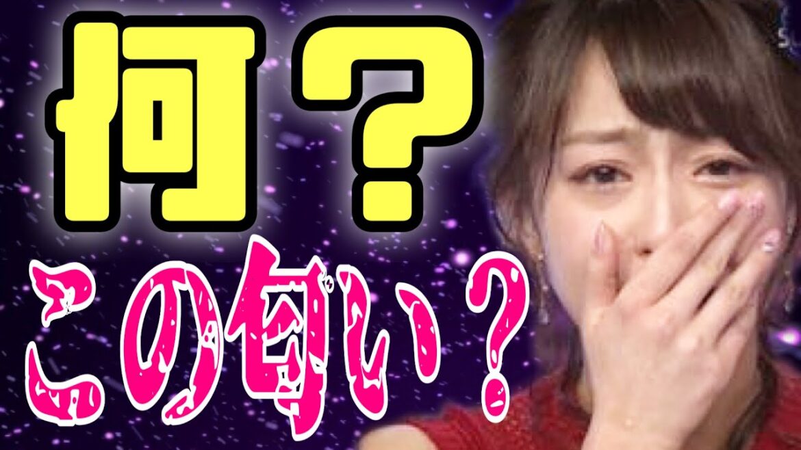 【有吉 サンドリ】家庭訪問で宇垣美里先生が…