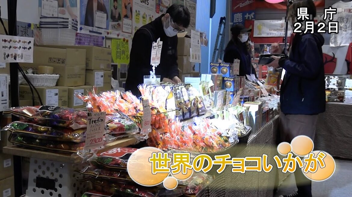 世界のチョコいかが!?県庁でフェス【いばキラニュース】R5.2.3
