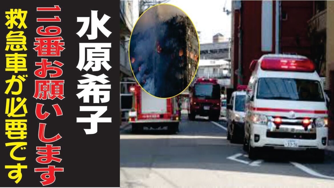 水原希子の現在！今現在の様子がヤバすぎる・・・