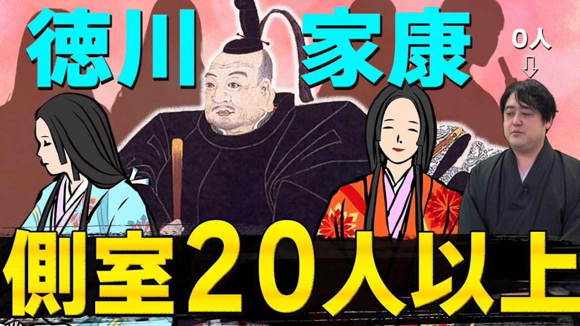 『家康の正室と側室』ハーレムすぎる！家康、妻多すぎ問題。 #どうする家康 #どうする予習