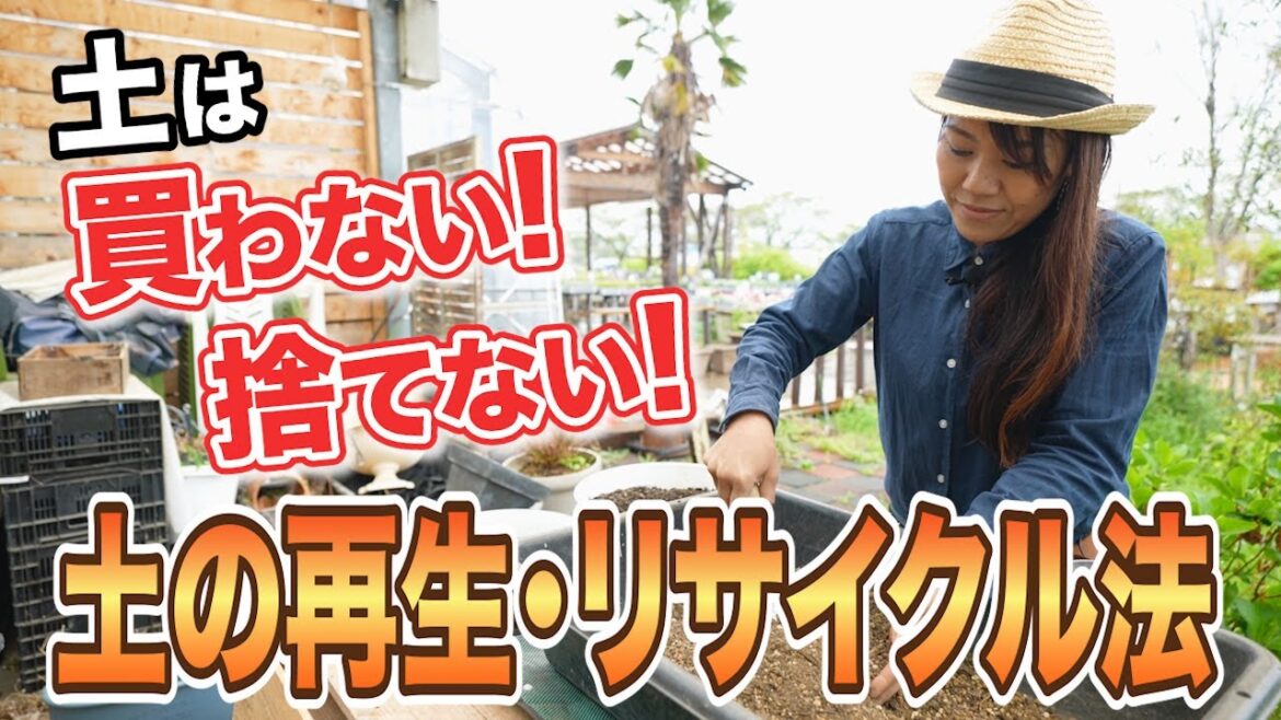 【あなた損してます！】園芸店長が古い土のリサイクル方法を徹底解説！コスパ良く園芸を楽しもう！【寄せ植え解体】【ガーデニング】#82