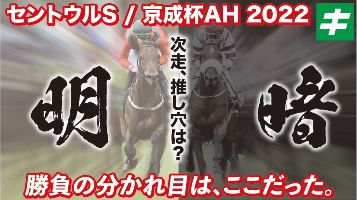 【先週の重賞回顧 / 勝負の明暗】⇒セントウルステークスや京成杯オータムハンデの振り返り＆「次に期待の一頭」をご紹介