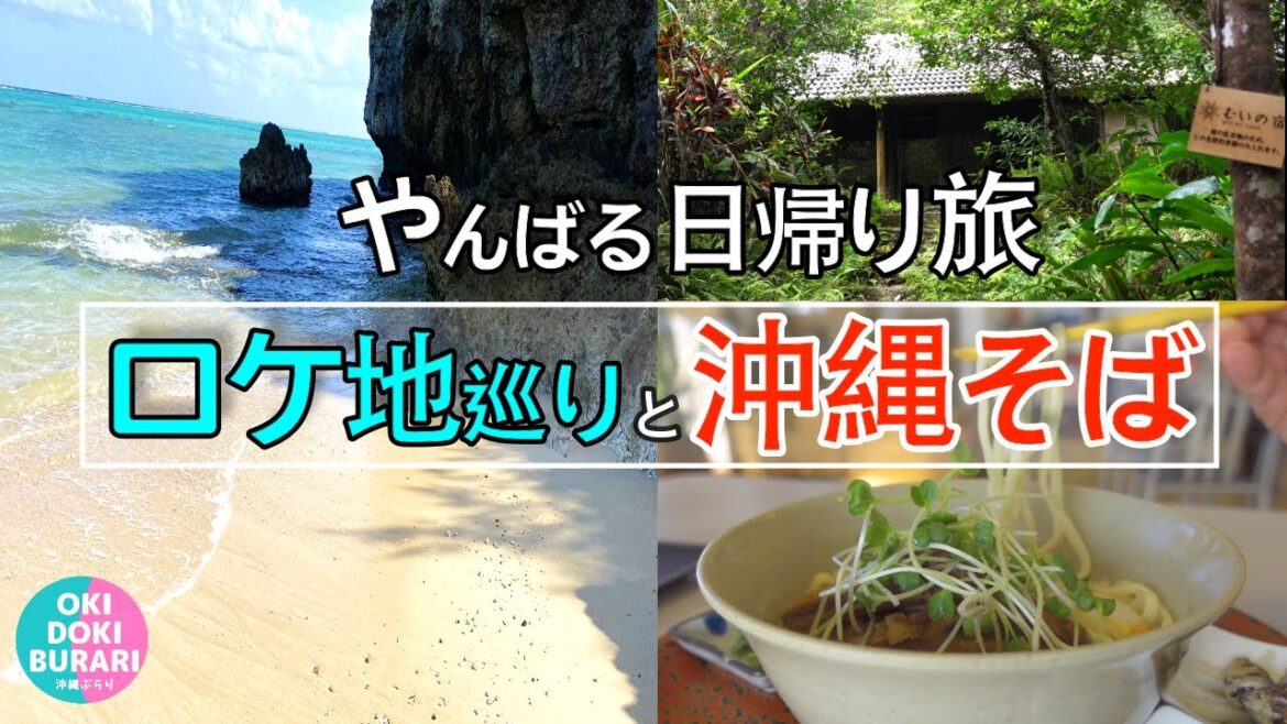 【沖縄観光VLOG】やんばるの魅力を味わえる日帰り旅「ちむどんどん」ロケ地巡りと沖縄グルメと観光スポット紹介！【沖縄そば｜沖縄旅行｜本島北部ドライブ】