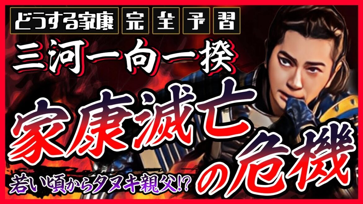 【若い頃から狸親父】三河一向一揆をわかりやすく解説【どうする家康】