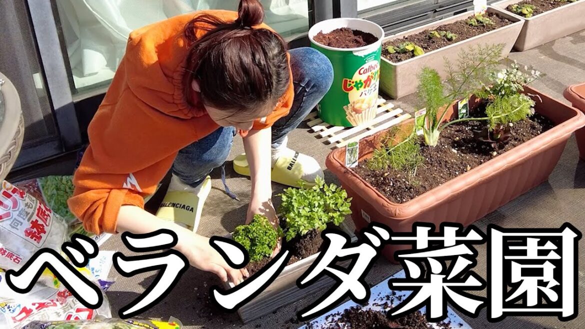 けーに反対されたので、寝てる間にやりました