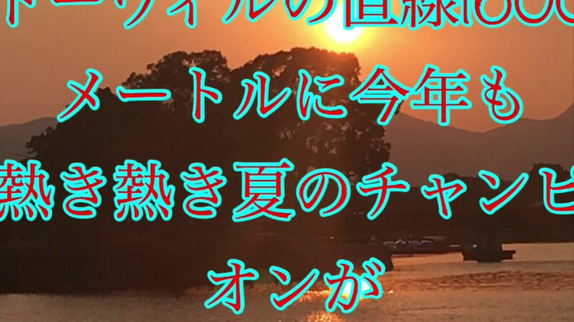 ジャック・ル・マロワ賞 予想
