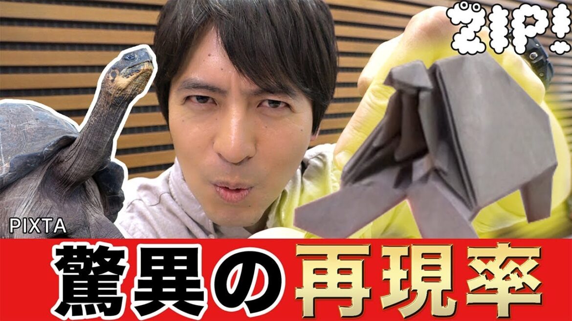 マニアック!桝アナが『ガラパゴスゾウガメ』を折ってみた!桝アナの折り紙動物園#15【ZIP!公式チャンネル】【#家で一緒にやってみよう】