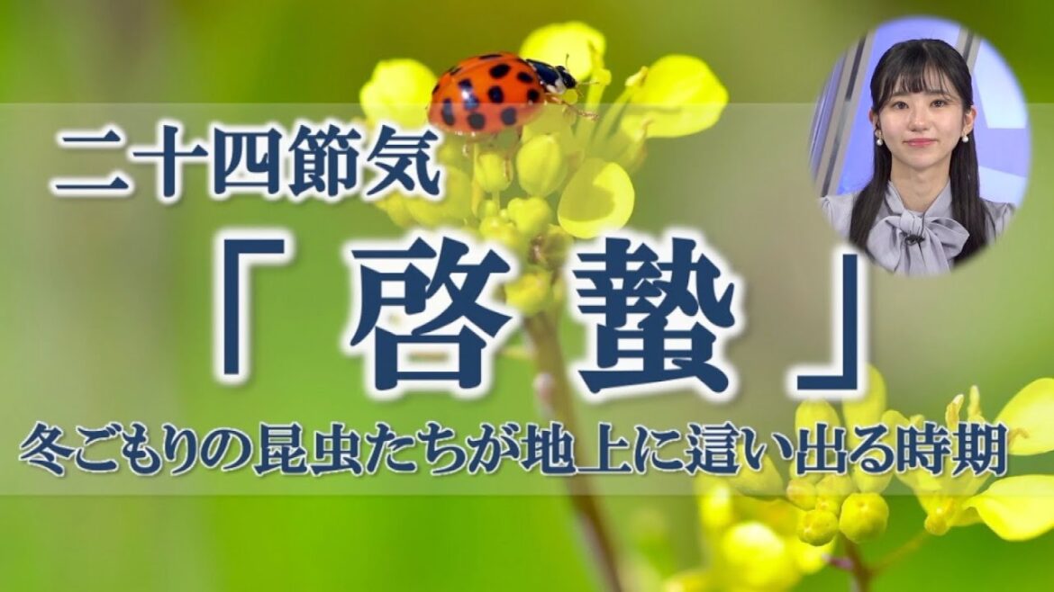 二十四節気「啓蟄」虫も山も笑顔になる時季？