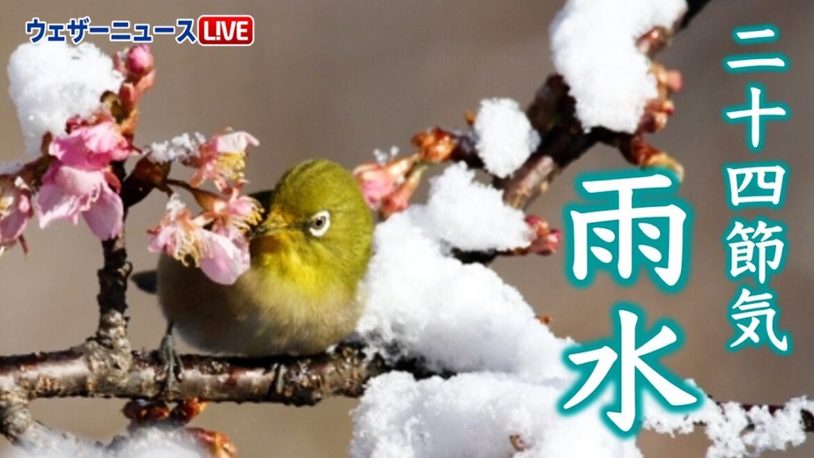 二十四節気「雨水」