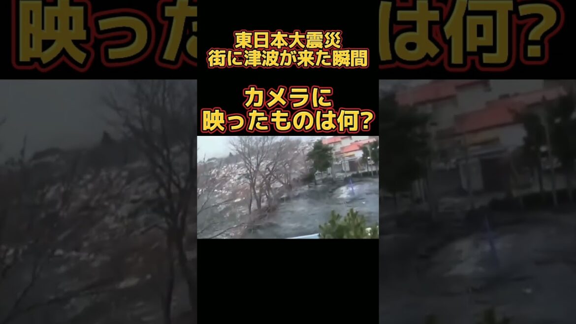 偶然とらえていた怪現象　#shorts #short #東日本大震災