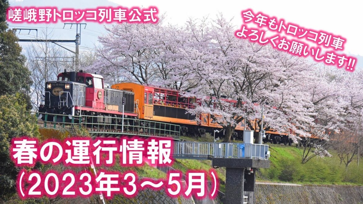 嵯峨野トロッコ列車 春の運行情報(2023年3～5月)【ご乗車検討されている方へ】【桜】【新緑】