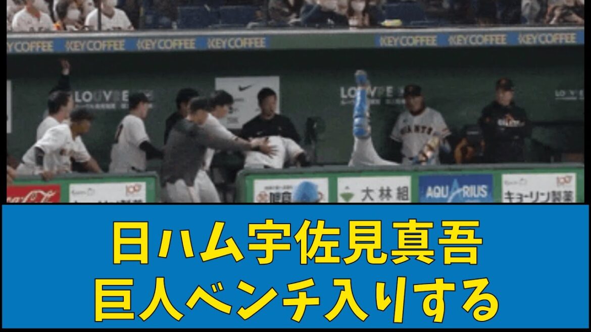 日ハム宇佐見真吾 古巣巨人にベンチ入りする【なんJ反応】【プロ野球反応集】【2chスレ】【1分動画】【5chスレ】