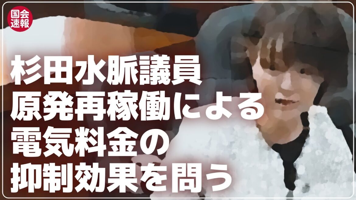 杉田議員が関西電力と九州電力が電気料金の値上げ申請を行わなかったのは原発再稼働による電気料金抑制効果があったのかどうかを質疑する