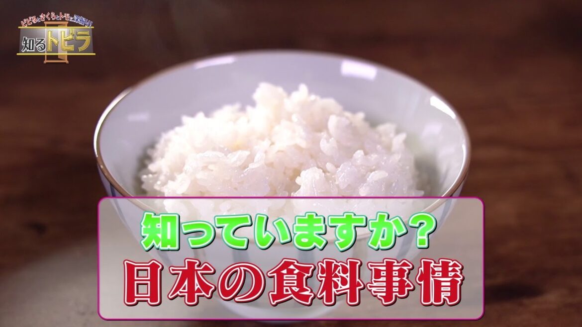 【ダイジェスト】ビビるとさくらとトモに深掘り!知るトビラ【知っていますか?日本の食料事情】 | BSテレ東 【ダイジェスト】ビビるとさくらとトモに深掘り!知るトビラ【知っていますか?日本の食料事情】 | BSテレ東