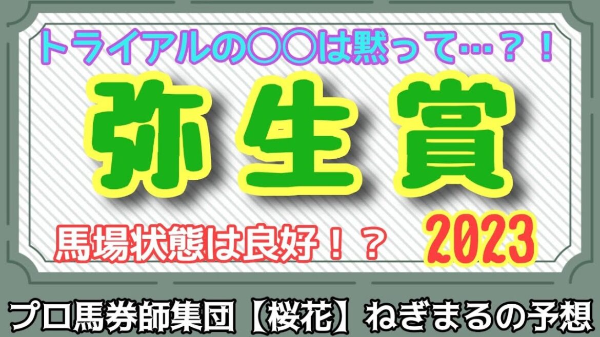 馬場状態は良好！？プロ馬券師集団桜花ねぎまる氏の弥生賞2023レース予想！！