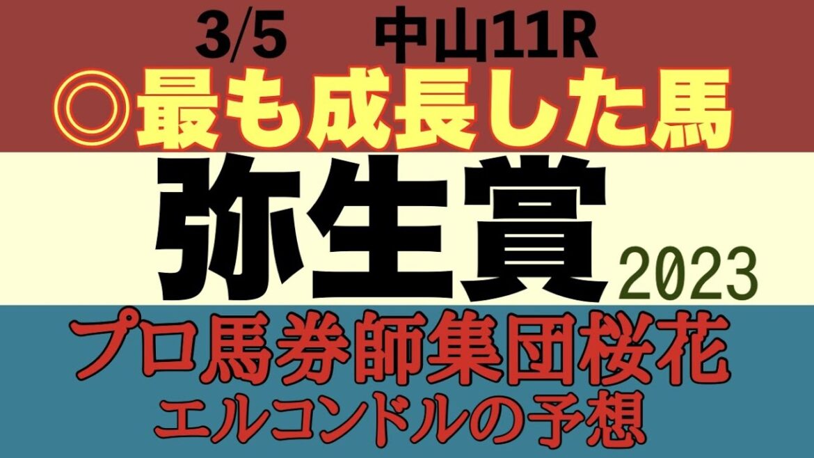 プロ馬券師集団桜花エルコンドル氏の弥生賞2023予想！！賞金に余裕ある実績馬トップナイフにグリューネグリーンはどんな競馬をするか？一勝馬が多数出走しており昨秋からここまでの成長力が非常に重要なレース！