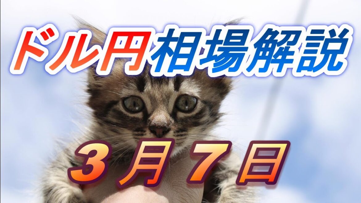 【TAKA FX】ドル円為替相場の前日の動きをチャートから解説。日経平均、NYダウ、金チャートも。3月7日
