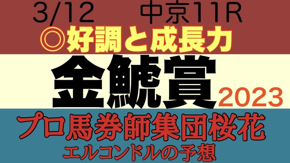 プロ馬券師集団桜花のエルコンドル氏の金鯱賞2023予想！！開幕週で今年も前に行く馬が有利？！プログノーシスは届くのか？ここにきて成長著しい馬もおりレースが楽しみ！