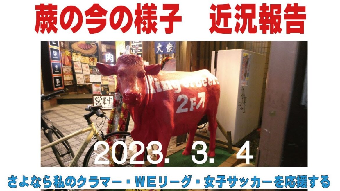 蕨の今の様子 近況報告 さよなら私のクラマーを通して女子サッカーを応援する 蕨さよクラ応援団 蕨の今の様子 近況報告 さよなら私のクラマーを通して女子サッカーを応援する 蕨さよクラ応援団